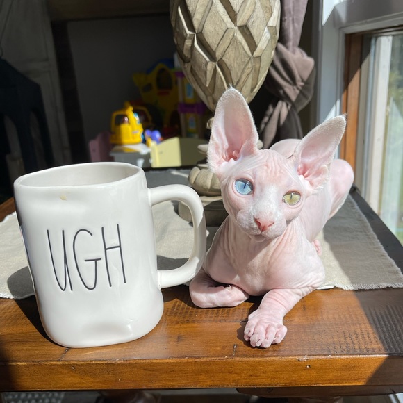 MEET YOUR POSHER, SHERRY - Picture 6 of 7